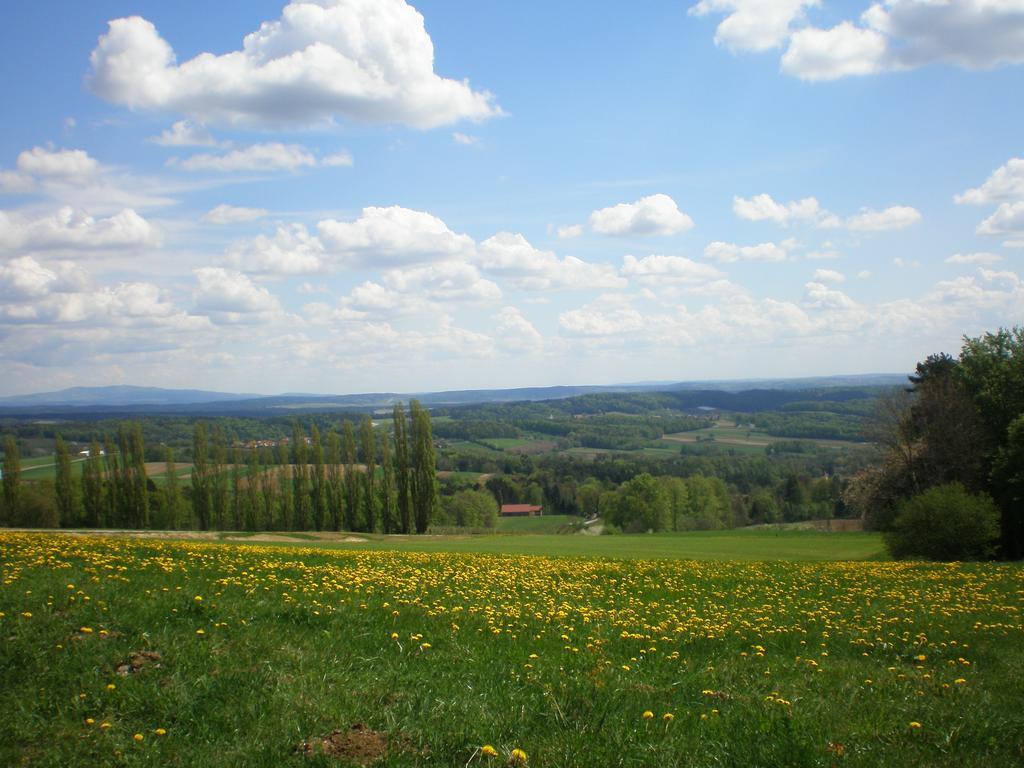 Wiesenbauer - Schlogl Anton Vila Grafendorf bei Hartberg Exterior foto