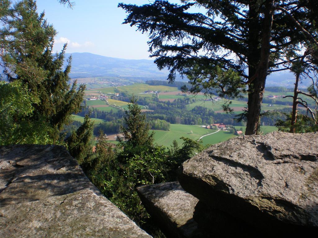 Wiesenbauer - Schlogl Anton Vila Grafendorf bei Hartberg Exterior foto